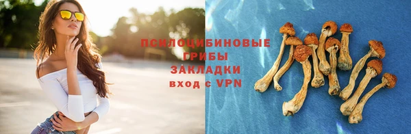 ГАЛЛЮЦИНОГЕННЫЕ ГРИБЫ Алзамай