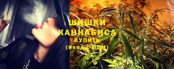 прущие грибы Армянск