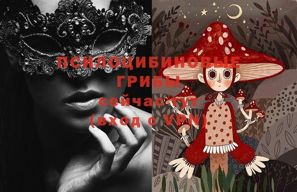 прущие грибы Армянск